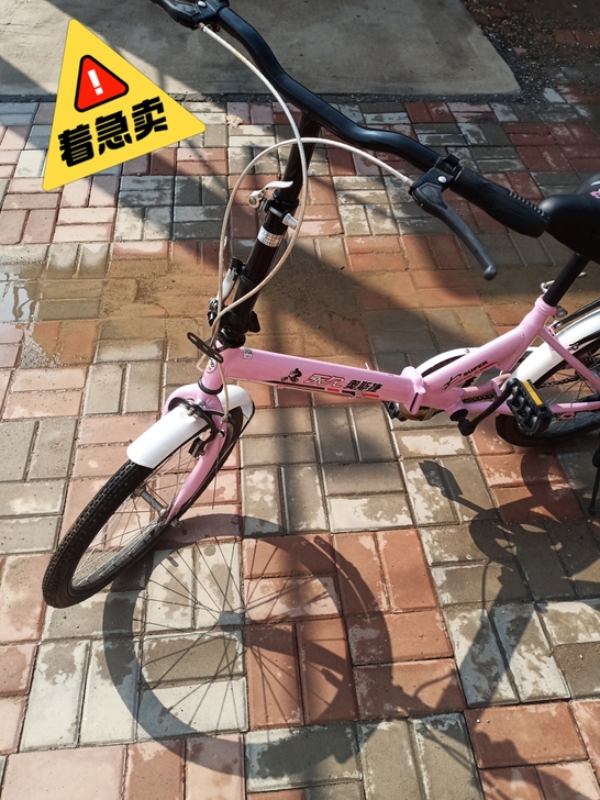 自行车便宜出售150元    自提  概不...