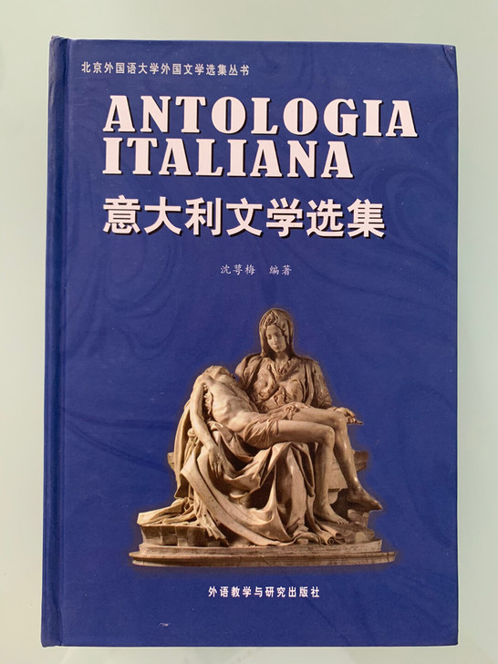 《意大利文学选集》，9成新，只有5/6篇文...
