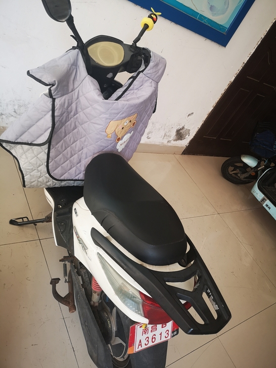 台铃电动车,南昌大学前湖校区自取,只能在学...