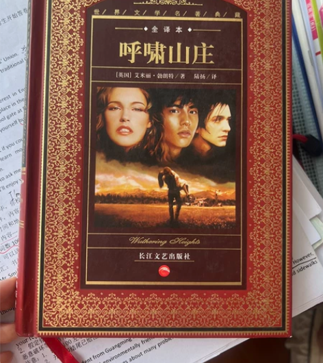 呼啸山庄,文学名著典藏 全新的。封皮经典版...