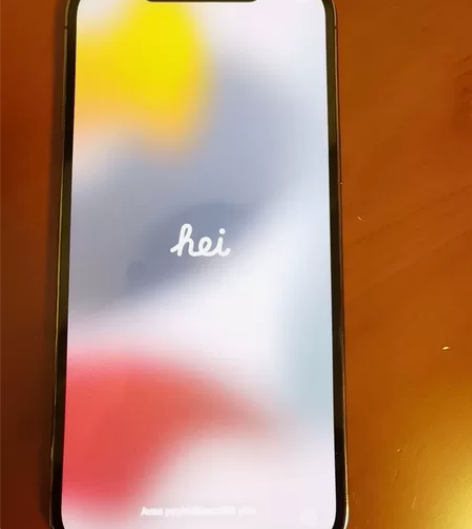 苹果12 Pro max256GB,颜色看...