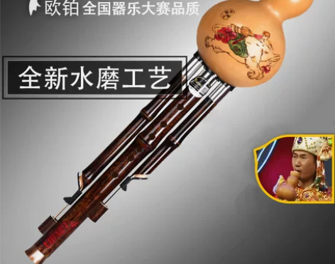 【狂欢价】葫芦丝乐器初学c调降b调dgf专...