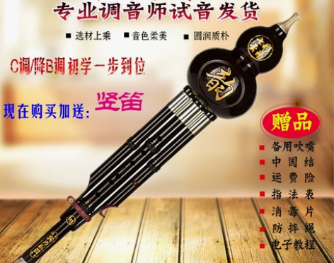 宾力葫芦丝乐器初学降b调成人c调小学生零基...