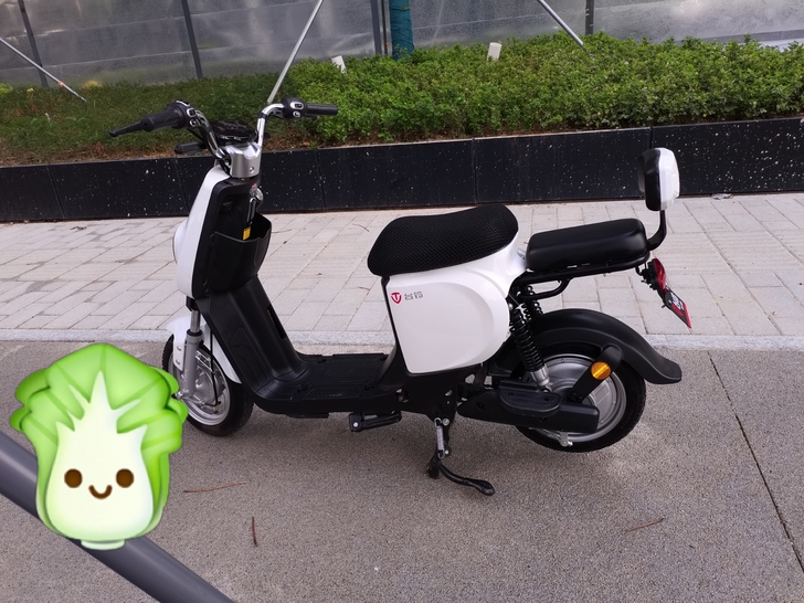 台铃可派新国标电动车/白色,刚买不久.内置...