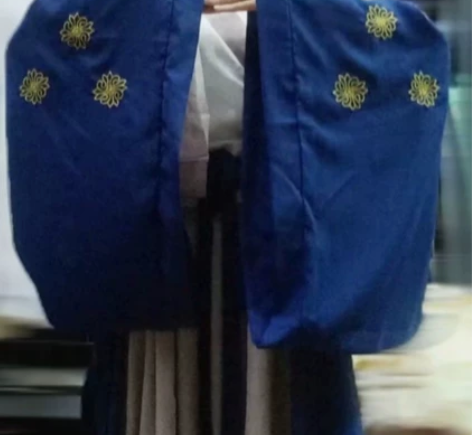 汉服侠客风女中国风交领飘逸魏晋风红色秋古装...