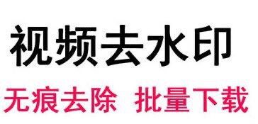 视频去水印软件下载短视频无痕消除一键批量去...