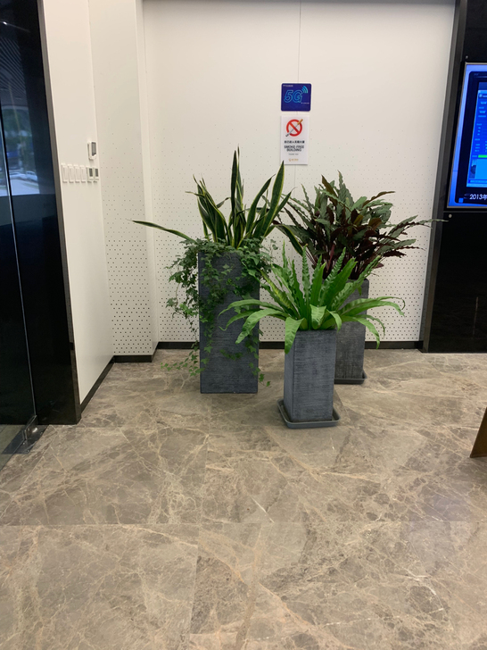 专业绿植出售、租赁，植物低至2元一天。