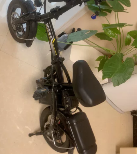 折叠电动车，好车留个纪念 锂电池可以取出，...