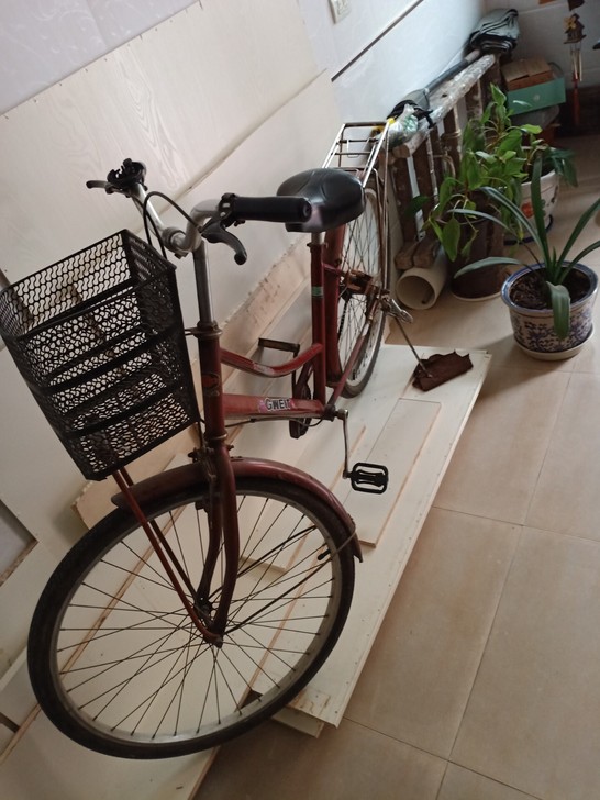 闲置自行车，很多年了，老产品质量好，不议价
