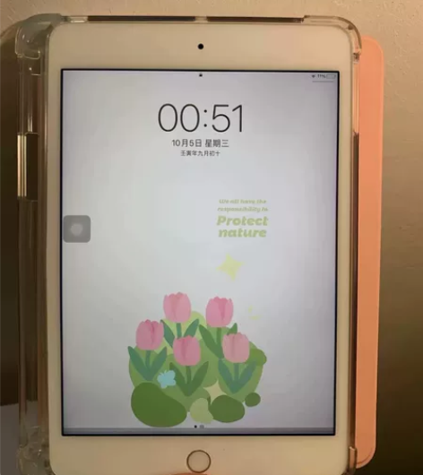 个人闲置Apple/iPadmini2平板...