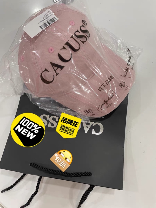 棒球帽 cacuss品牌  全新 全新