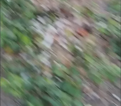 场地有限飞不起来 感兴趣的话点“我想要”和...
