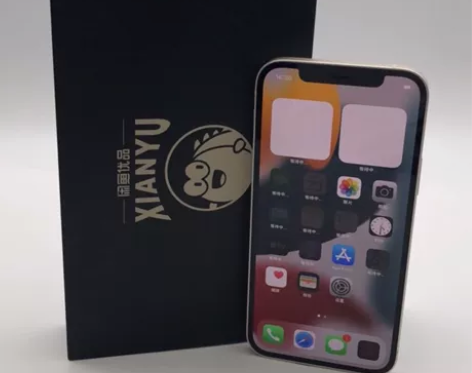 95新Apple/苹果 iPhone 12...