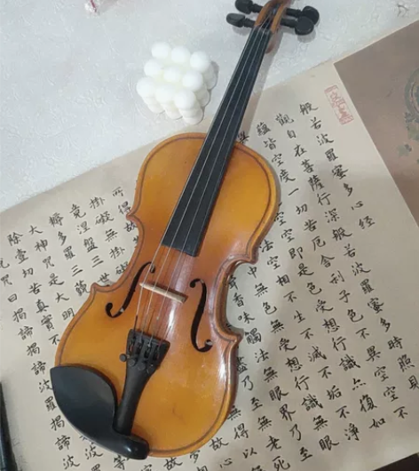 初学小提琴1/8琴，实木琴身 感兴趣的话点...