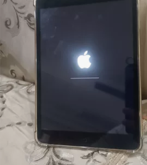 Apple/苹果 iPad mini 16...