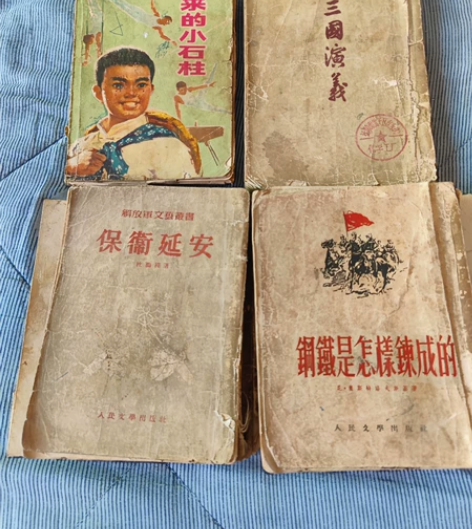 几本老书,要的带价来,钢铁是怎样炼成的19...
