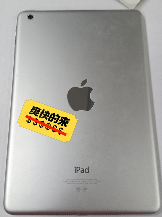 IPad mini2