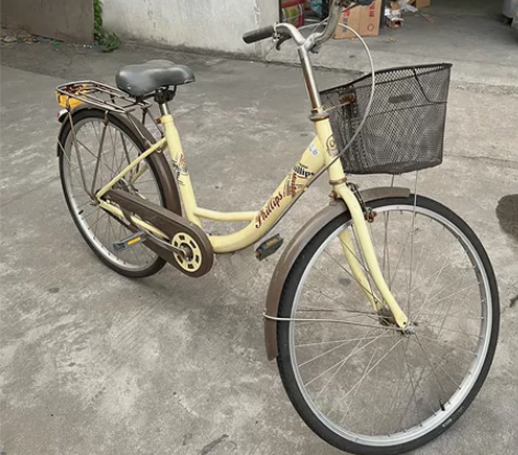 正品菲利普自行车，奶奶买的，由于身体原因没...