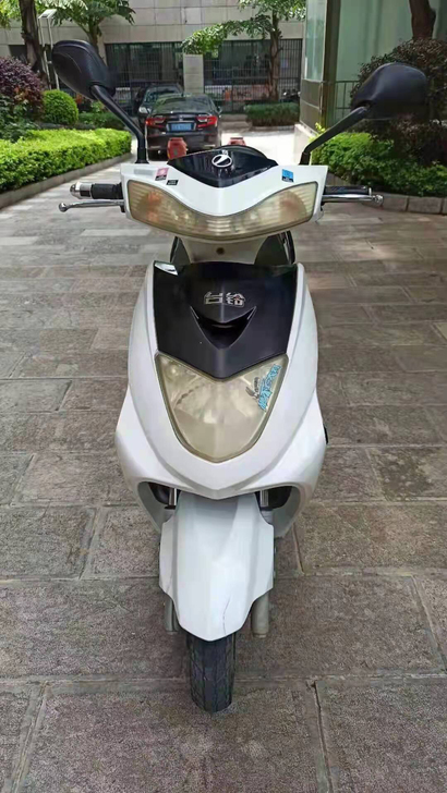 60伏台铃迅鹰，成色如图，前碟后鼓，前后真...
