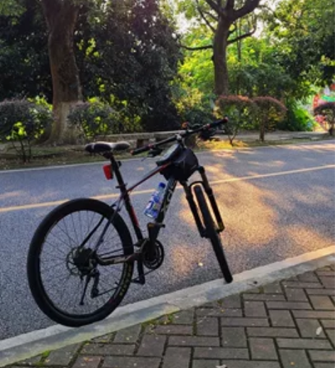 XDS喜德盛传奇500山地车，17寸，前3...