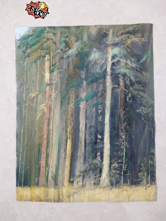 油画 画片 100元 布上绘画 出售概不退。