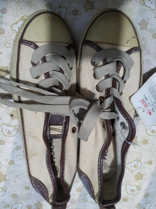 全新样品鞋，35码，女士帆布鞋，现价11元...