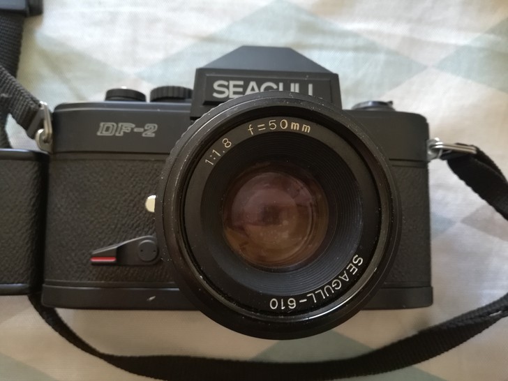 海鸥Seagull DF-2单反相机，家人...