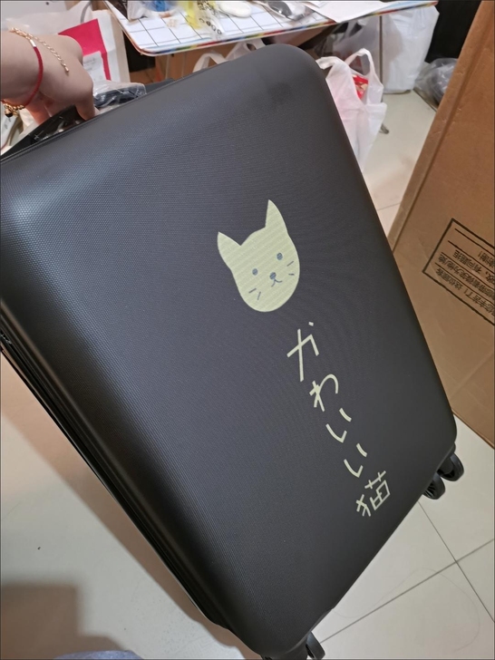 库房退租,剩下十几个全新拉杆箱清 仓处理了...