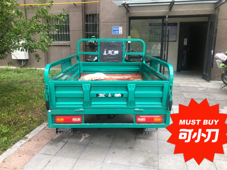 五羊电动车,入手两个月左右,基本全新,没怎...