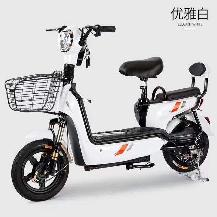 正品包邮新国标电动自行车小型铅酸锂电瓶车男...