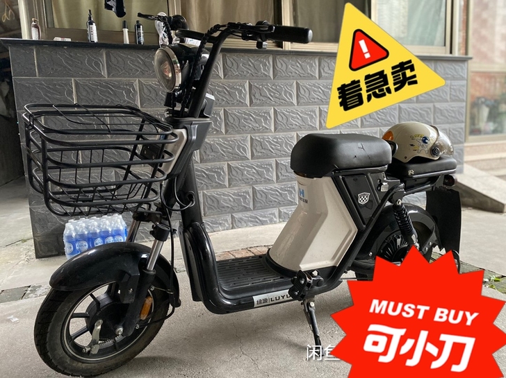 哈啰车服 智能电动车 48V 14A 2...