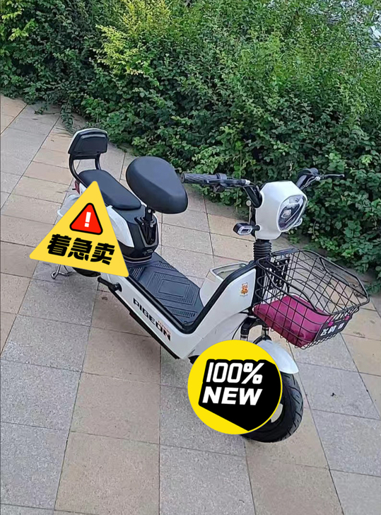 【工厂倒闭低价清仓】电动车新国标48v男女...