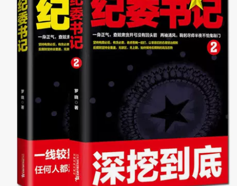 政商官场小说 纪委书记12罗晓正版书籍纪实...