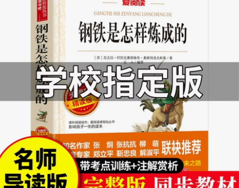 钢铁炼成的 怎样炼成世界是的正版原著完整版...