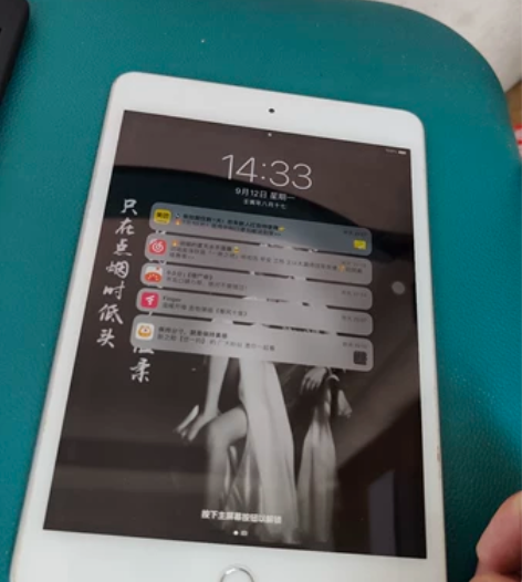 ipad mini5 银色64G ...