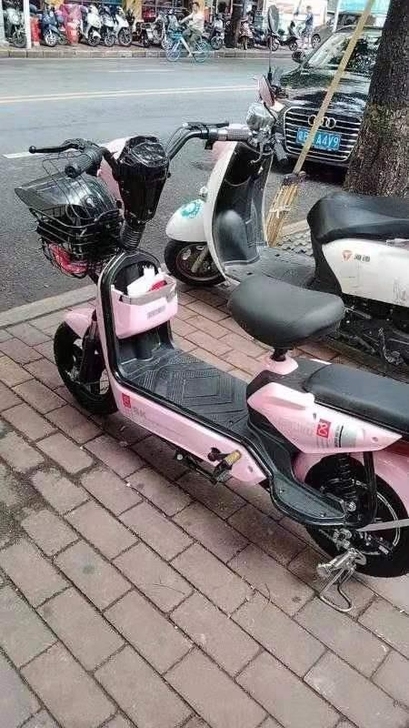 新款电动自行车成人电动车小型锂电电瓶车代步...