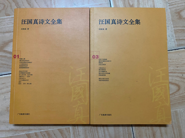 汪国真诗文全集1、3