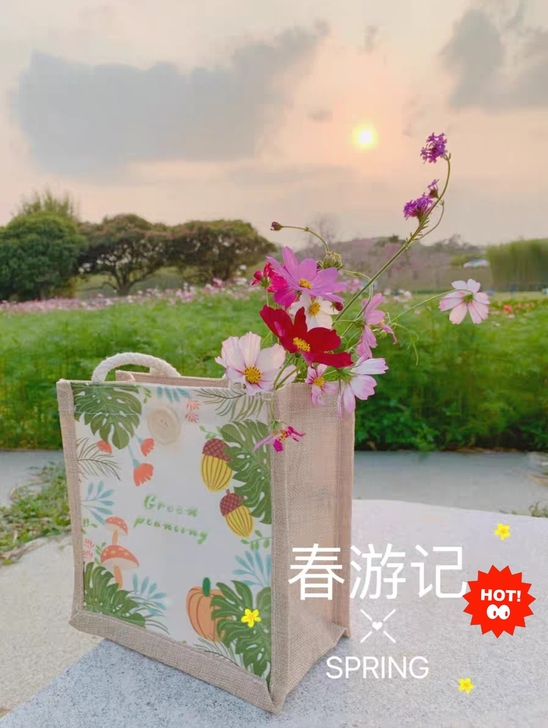 店铺不开了，亏本低价处理20个手提帆布包。...