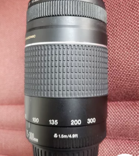出二个佳能镜头，一，EF75-300三代静...