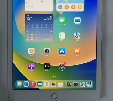 出一台大二女大学生自用iPad 2020 ...