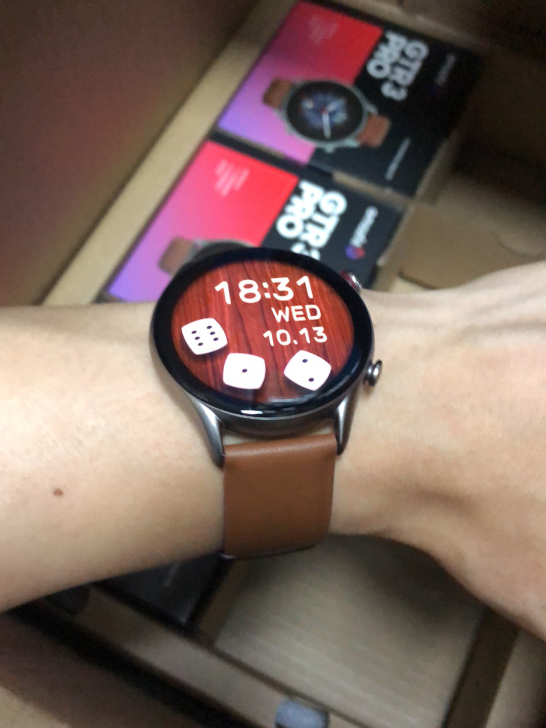 华米GTR3pro 戈壁棕 粉丝体验活动
