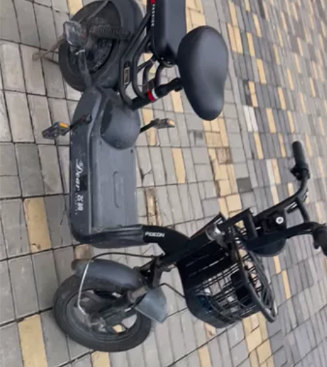 飞鸽电动车，自己骑的，想换个好看的了，这个...