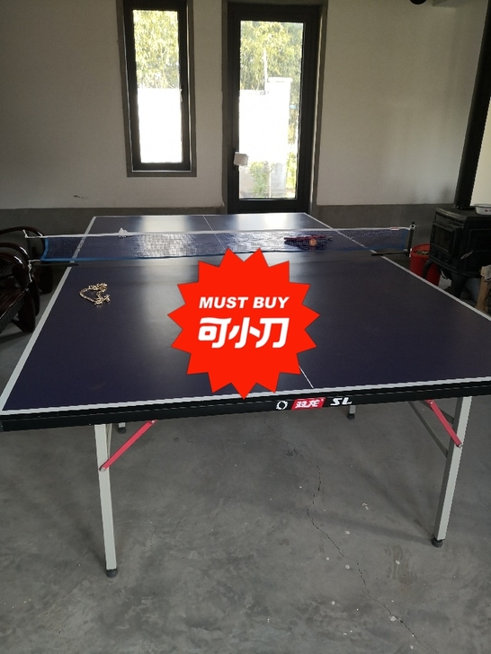 乒乓球台,标准尺寸,可折叠,可正常使用。限...