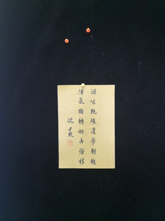 C81沈尹默书法 自然老旧