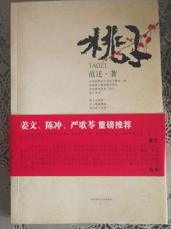 书名:《桃子》和《山楂树之恋》