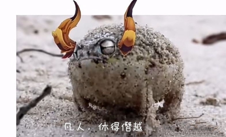 造梦西游