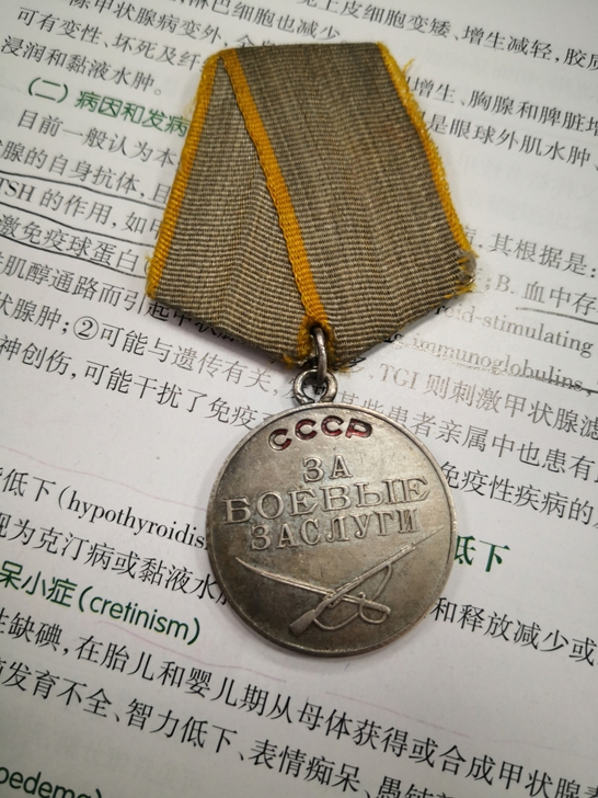苏联战功奖章，小挂改大挂，因筹建技术修理站...