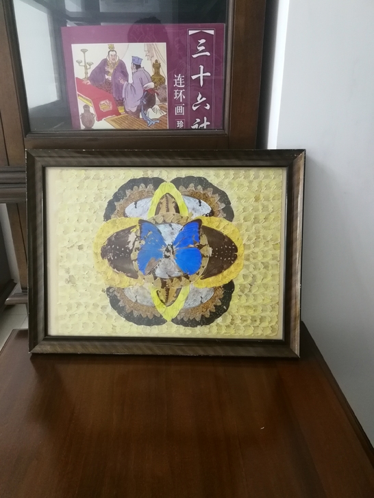 蝴蝶标本画,整副画都是各种真的蝴蝶翅膀手工...