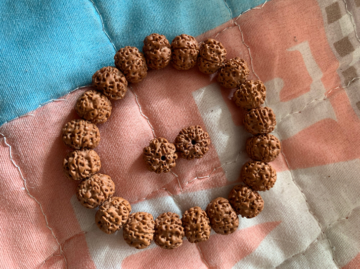 出售5瓣小金刚13左右归圆度不错颗颗梅花