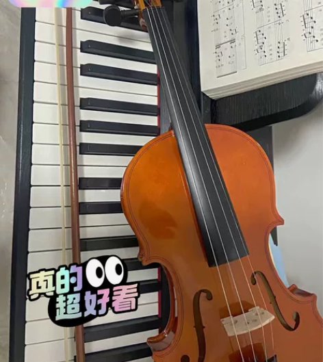琴行不干了，低价转让仓库里闲置的小提琴，还...